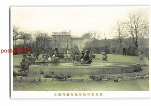 XyA8138●満州 関東庁博物館植物園内噴水【絵葉書】