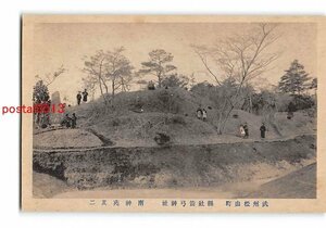 Xx3669●埼玉 武州松山町 県社箭弓神社 南神苑その2【絵葉書】