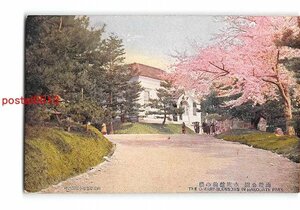 XyB9093●北海道 函館公園 水族館前の桜【絵葉書】