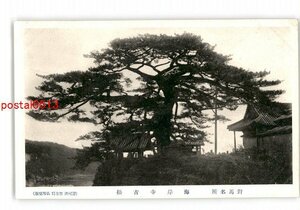 XZK1618[ new ] Nagasaki against horse name place coastal area temple old pine * scratch equipped [ picture postcard ]