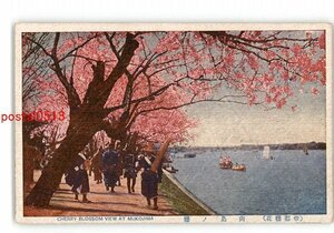 XZK1956【新規】東京 帝都桜花 向島の桜 *傷み有り【絵葉書】