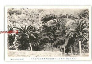 XZK1598[ новый ] Nagasaki на лошадь название место на лошадь первый. . металлический Tang . Aoki . дом . есть * царапина есть [ открытка с видом ]