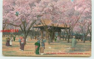 Xe1432●東京 靖国神社の桜【絵葉書】