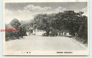 Xg9496●東京 臨時東京第一陸軍病院 庭園　*傷み有り【絵葉書】