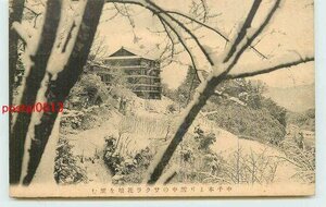 Xk9287●奈良 雪のサクラ花壇【絵葉書】