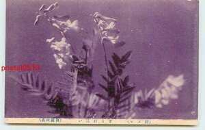 Xn8366●高山植物【絵葉書】