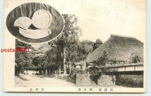 Xn3081●新潟 佐渡 国分寺【絵葉書】