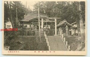 Xq6360●埼玉 小鹿神社 *傷み有り【絵葉書】