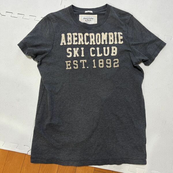 Abercrombie Fitch Tシャツ 半袖 グレー　Lサイズ