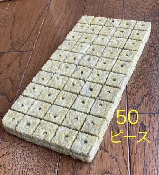 種まき 挿し木に ロックウール