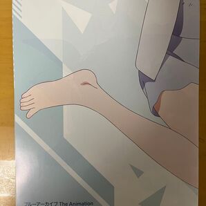 ブルーアーカイブ ウマ娘 B3ポスター
