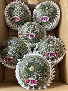  arrived! illusion. melon na il melon L size 6 sphere postage included 