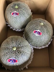  arrived! illusion. melon na il melon super large sphere 3 sphere postage included 