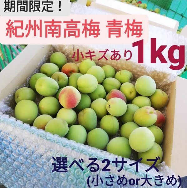 【期間限定！】和歌山県産南高梅 青梅1kg　小傷あり