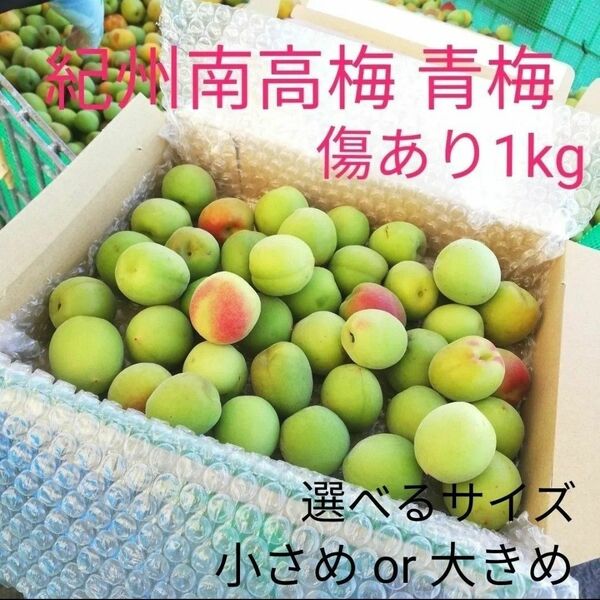 【期間限定！】和歌山県産紀州南高梅　青梅　傷あり1kg