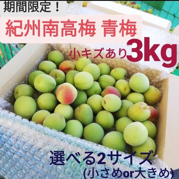 【期間限定！】和歌山県産南高梅 青梅3kg 小キズあり