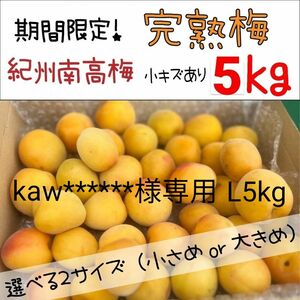 【kaw****様専用】L5kg紀州南高梅 完熟梅