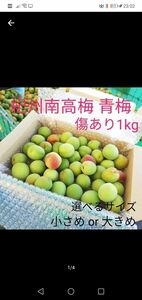 【期間限定！】和歌山県産紀州南高梅　青梅　傷あり1kg