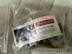 海洋堂　UHA味覚糖 チョコラザウルス ４弾　ナウマンゾウ（頭骨）