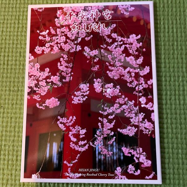 平安神宮　八重紅枝垂桜　ポストカード8枚　　　　　　　写真：水野克比古