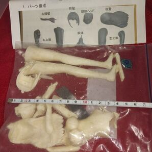 冴えない彼女の育てかた 霞ヶ丘詩羽 水着 ガレージキット レジンキット ガレキ
