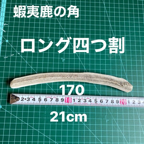 鹿の角　鹿のツノ　鹿角　鹿ツノ　シカツノ　蝦夷鹿　おもちゃ　角　犬用品　犬