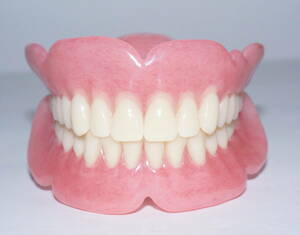 歯科 総義歯 サンプル 模型 見本 入れ歯 補綴 フルデンチャー 説明 技工 資料 自費