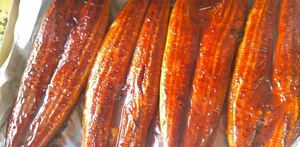 ① 1 jpy start large red character free shipping double extra-large! super-discount! the lowest price!.....200g super ×10 tail set eel 