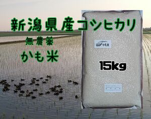 無農薬米新潟県産コシヒカリ15k