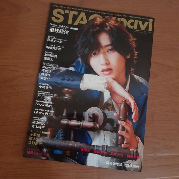 【未使用に近い】STAGE navi vol.54 表紙 道枝駿佑