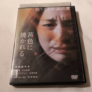 DVD 茜色に焼かれる 尾野真千子