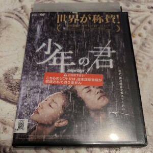 DVD 少年の君