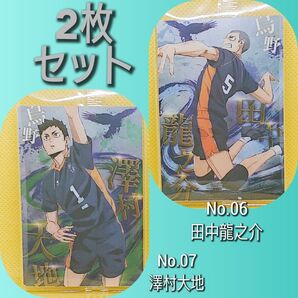 劇場版ハイキュー!! ゴミ捨て場の決戦 ウエハース 田中&澤村 2枚セット