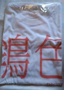 DIC岡里帆　鴾色　Tシヤツ