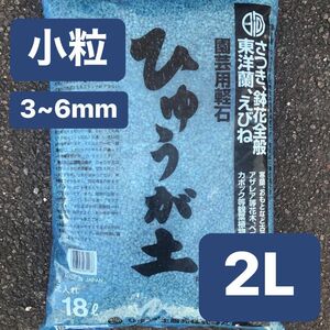 ひゅうが土 小粒 2L 日向土 コーデックス 多肉植物 サボテン 園芸用土