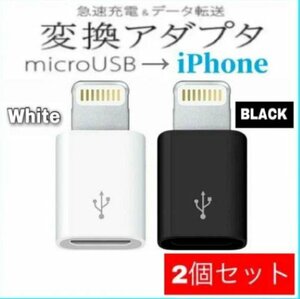 【即日発送】2個セット iPhone 変換アダプタ マイクロ USB 白 黒