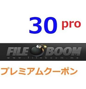 FileBoom PRO premium official premium coupon 30 days after the payment verifying 1 minute ~24 hour within shipping 