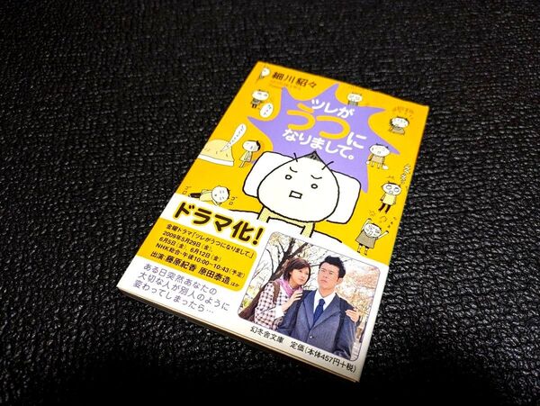 ツレがうつになりまして。 その後のツレがうつになりまして。 セット 細川貂々 幻冬舎文庫