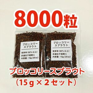 【8000粒】ブロッコリースプラウト 種 タネ　たね　40ml