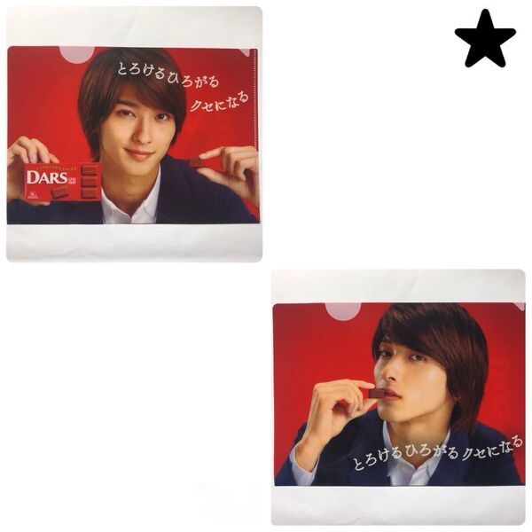横浜流星 DARS A5 ミニ ファイル 2枚セット