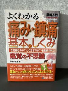 よくわかる痛み・鎮痛の基本としくみ　なぜ痛むのか？どう治すのか？を図解で学ぶ！　痛覚の不思議　　本