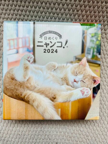 2024 日めくり　ニャンコ　カレンダー