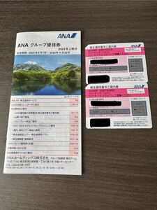 ANA 株主優待券2枚　[2025年5月31日まで] +ANA グループ優待券1冊[2024年11月30日まで]