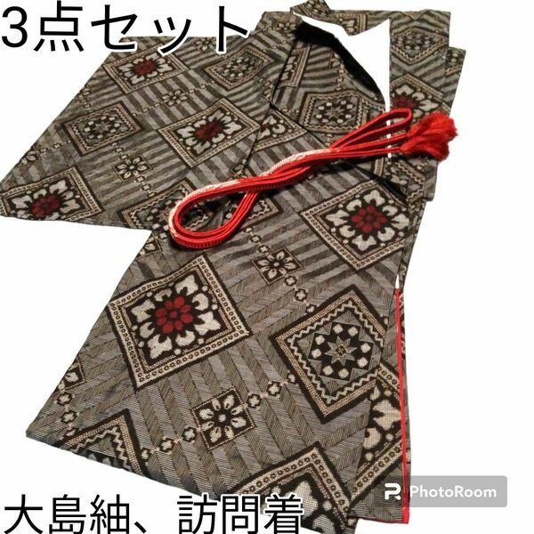 【新品 未使用品】大島紬 龍郷 袷 ◆ 訪問着 ◆ 帯締め3点セット