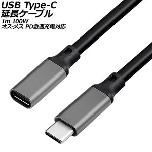 USB Type-C延長ケーブル グレー 1m 100W シリコン素材 オス-メス PD急速充電対応 AP-UJ1030-GY-1M