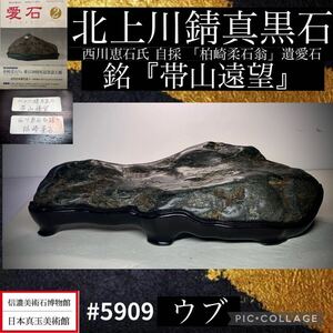 [ suiseki st Rene sun sfea] most low . price have suiseki st bonsai north on river rust genuine black stone ub Kashiwa cape . stone .. love stone width 36(cm) 4.6kg antique tray stone old fine art appreciation stone .. stone 5909