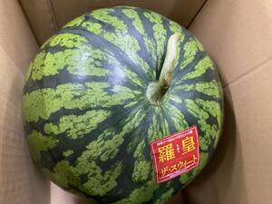 熊本県産羅王秀品特大1玉入り甘さ抜群です！