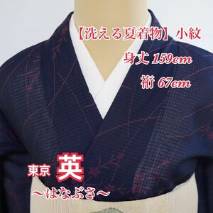 東京 英【洗える夏着物】紅梅織◆桔梗模様◆小紋