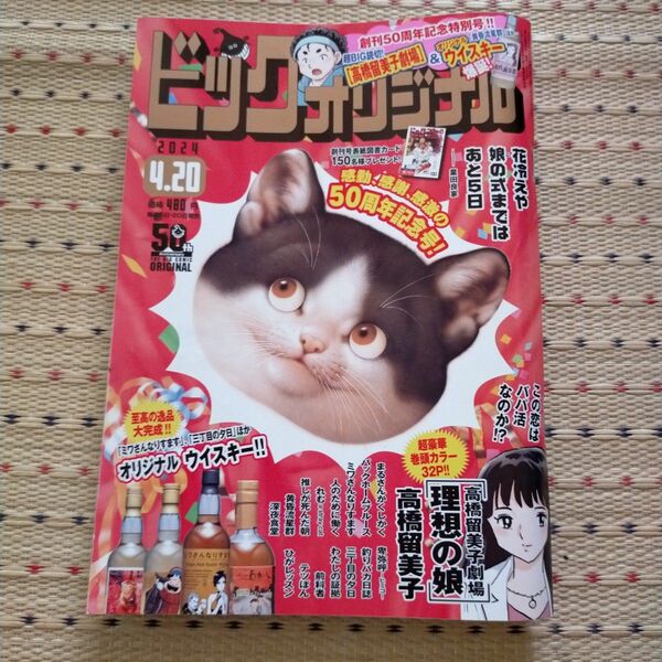 ビッグコミックオリジナル ２０２４年４月２０日号 （小学館）