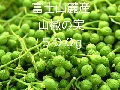 富士山麓産　無農薬　山椒の実５００g